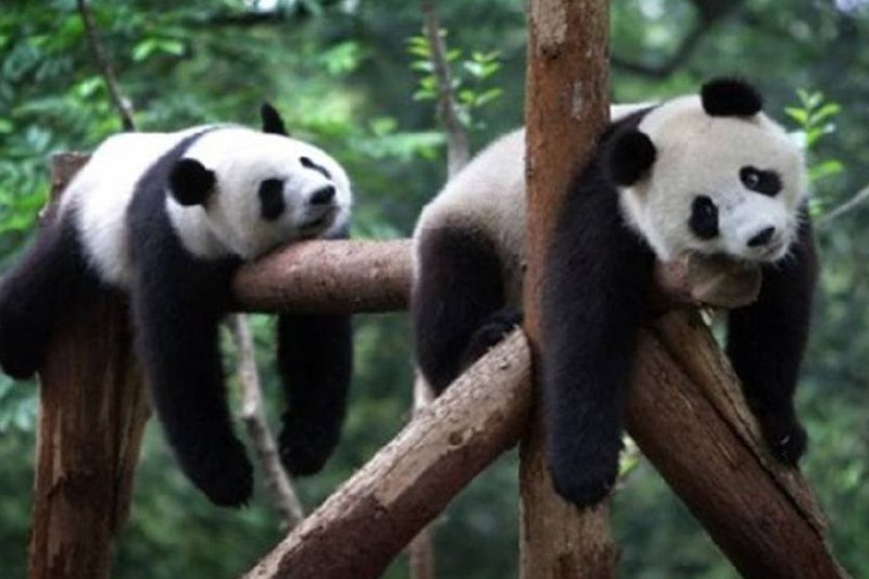 В марте саратовцев ожидают трехдневные выходные В марте саратовцев ожидают трехдневные выходные